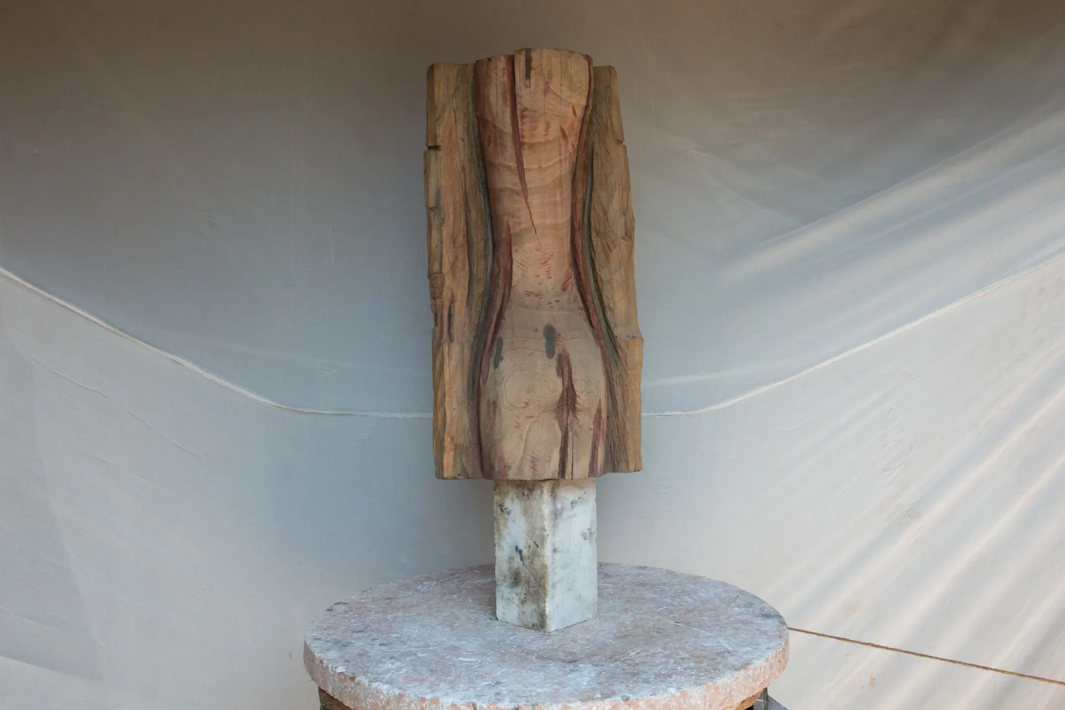 Torsos